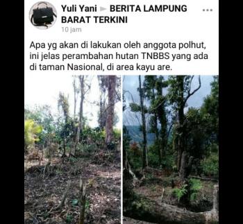 Heboh Di FB TNBBS Dirambah, Kinerja Polisi Kehutanan Dikeritik